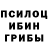 Галлюциногенные грибы MAGIC MUSHROOMS Mica Childs