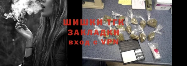 тгк Арсеньев